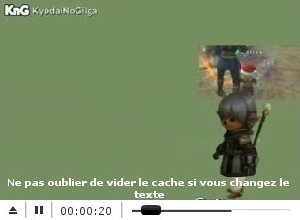 Player FLV multi